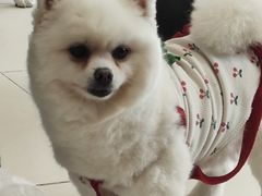 -怪兽屋·羊驼·猫咖·狗咖(俊华广场店)