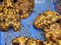 -旅南活海鲜-屏东(墾丁海鮮，海鮮餐廳，墾丁團體合菜，平價熱炒，墾丁熱炒店，活海鮮推薦，在地海鮮餐廳)