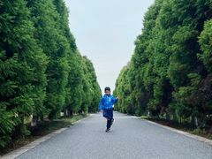 -苏州太湖国家湿地公园