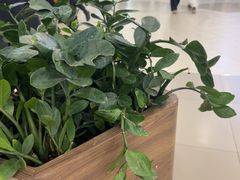 -杉杉奥特莱斯广场(哈尔滨店)