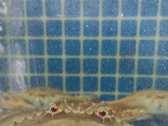 -威海渔村(黄兴路店)