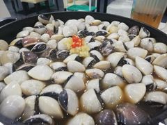 -顺德哥卜卜贝(旗舰店)