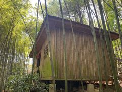 -铁山坪森林公园