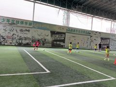 -飞梦少儿足球培训(塘桥校区)