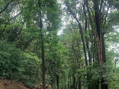 -广州市白云山风景名胜区
