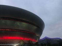 -成都金融城演艺中心