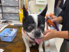-美联众合动物医院·24h京西诊疗中心