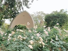 -人民公园(罗湖区)