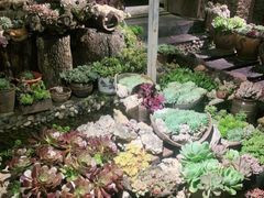 -炊烟餐厅