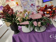 -元祖食品GANSO(常州新北区店)