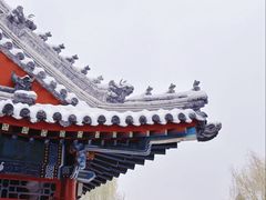 -莲池书院博物馆