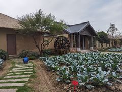 -乌村
