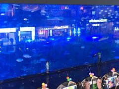 -成都浩海立方海洋公园