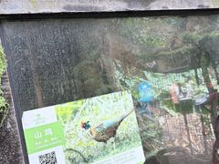 -青青世界