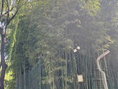 -西安市长乐公园