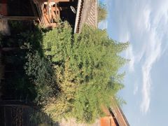 -田德能咖啡博物馆