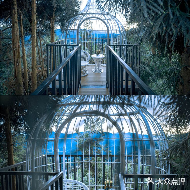 成都周边丨无边泳池360°云海☁️森林悬崖酒店