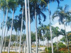 -宝安西湾红树林湿地公园