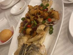 鲜活桂花鱼-潮福城大酒楼·潮粤菜·港式点心(阳光城店)