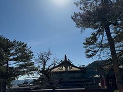 -普陀宗乘之庙