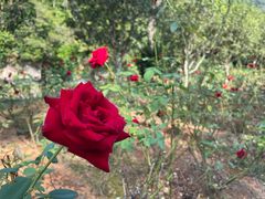 -韶关经律论国际酒店温泉