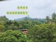 -广州长隆野生动物世界