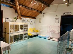 -翊宠yipet猫狗购宠庄园犬舍•猫舍