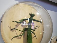 -陕西自然博物馆