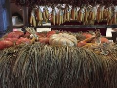 -婺源梦里老家大型山水实景演出