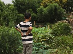 -新湖明珠城