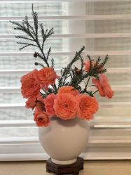 -闺蜜瑜伽·普拉提女性塑形馆