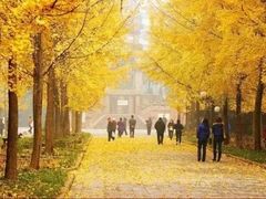-四川大学(望江校区)