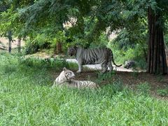 -大连森林动物园