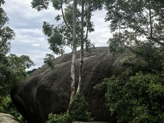 -火炉山森林公园