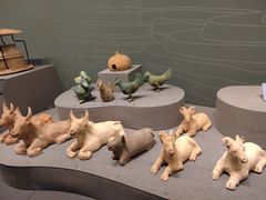 -广西壮族自治区博物馆