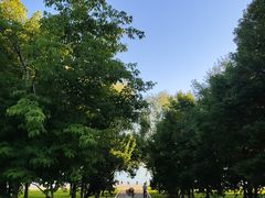 -长春世界雕塑园冰雪艺术天地