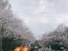 -杭州少年儿童公园