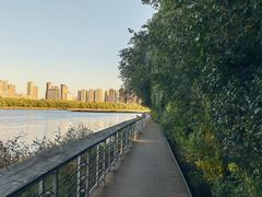 -长白岛森林公园