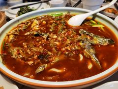黄辣丁-柴门头啖汤·经典川菜·慢火汤品(锦城万达店)