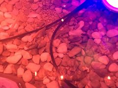 -青藤汗蒸时代会所