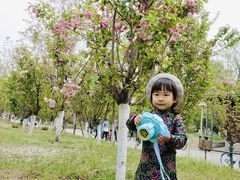 -长白岛森林公园