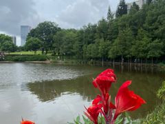 -深圳龙潭公园