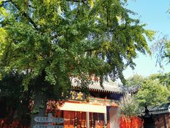 -长春观斋补堂素菜馆