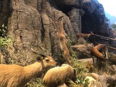 -陕西自然博物馆