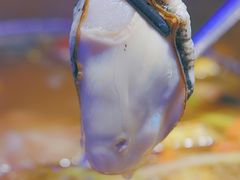 深海黄金蚝-千岛蚝高压锅生蚝·人参火锅(白云万达店)