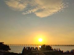 -宝安西湾红树林湿地公园