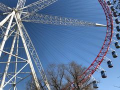 -哈尔滨文化公园