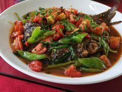 -生态苑农庄(十里画廊遇龙河店)