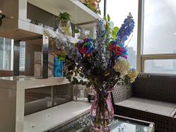 -轩舞汇·爵士舞街舞训练营