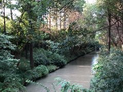 -同里国家湿地公园
